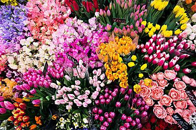 神秘兜帽男？《生化9》内部爆料人推测幕后BOSS身份