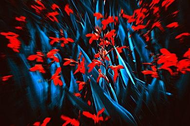 年度游戏《邪恶冥刻》PS5＆PS4版发行日定为8＆30