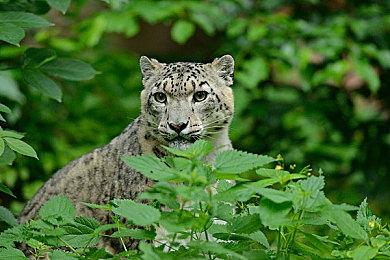恐怖游戏《甜蜜之家》宣布电影化 今年秋季开拍